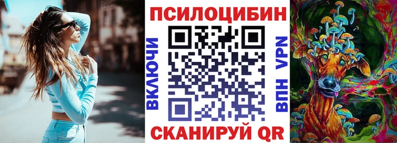 Купить закладки  Губаха  Галлюциногенные грибы ЛСД 