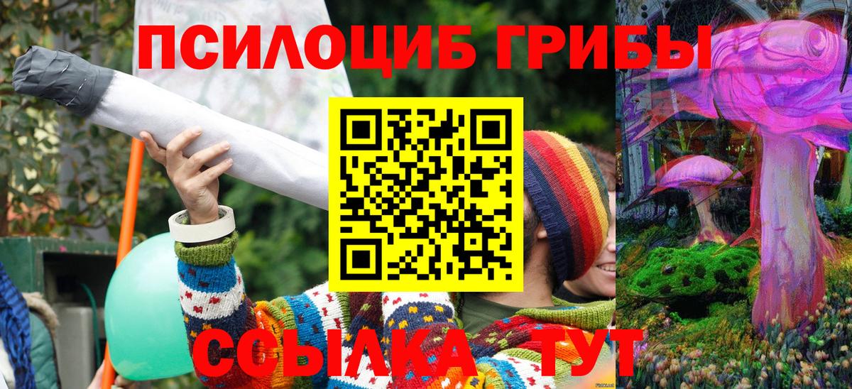 Галлюциногенные грибы Psilocybe Губаха