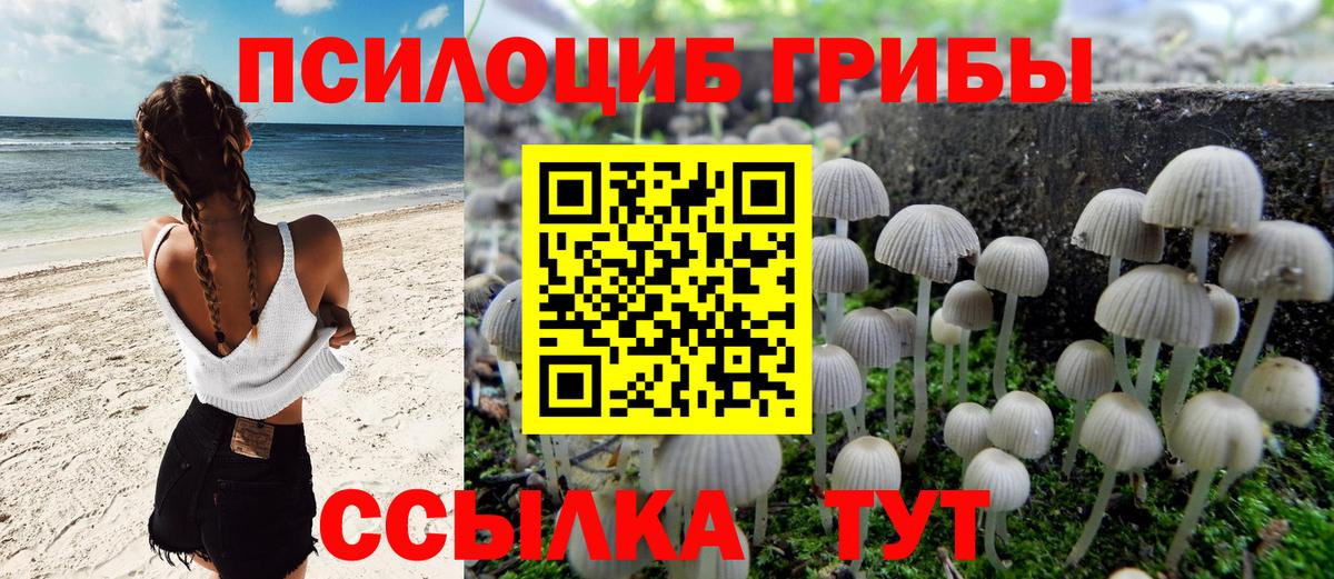 Губаха  где найти наркотики  Вход с VPN  Псилоцибиновые грибы мухоморы 