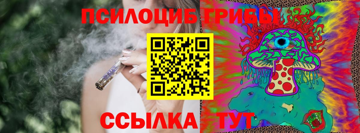 Галлюциногенные грибы прущие грибы  Губаха  Галлюциногенные грибы Magic Shrooms 