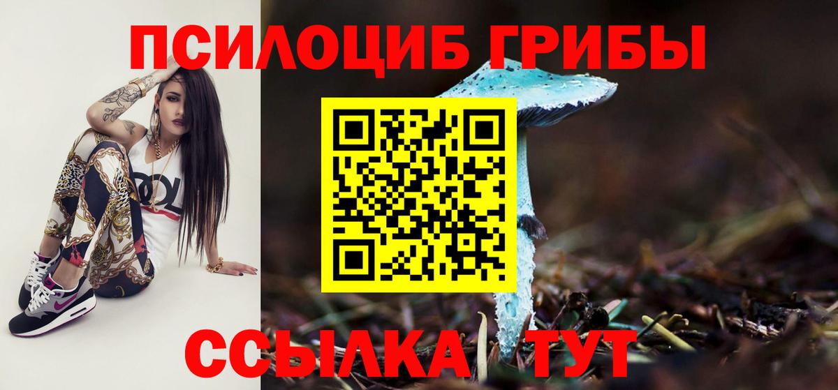 Псилоцибиновые грибы мухоморы Губаха