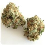 Шишки "White Widow"  (Белая вдова)  Гидропоника -  Бошка VHQ в Губахе